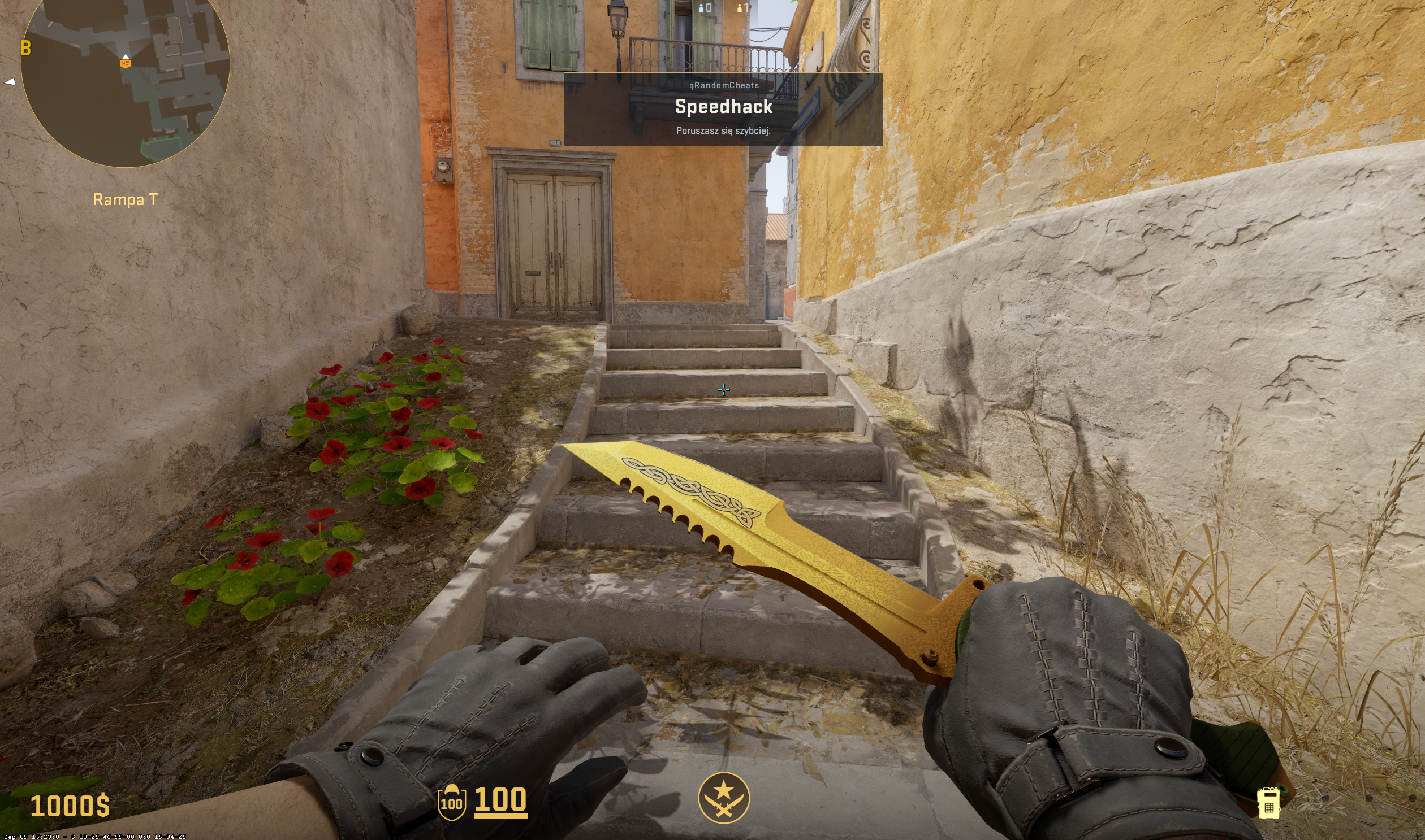 qRandomCheats - HUD